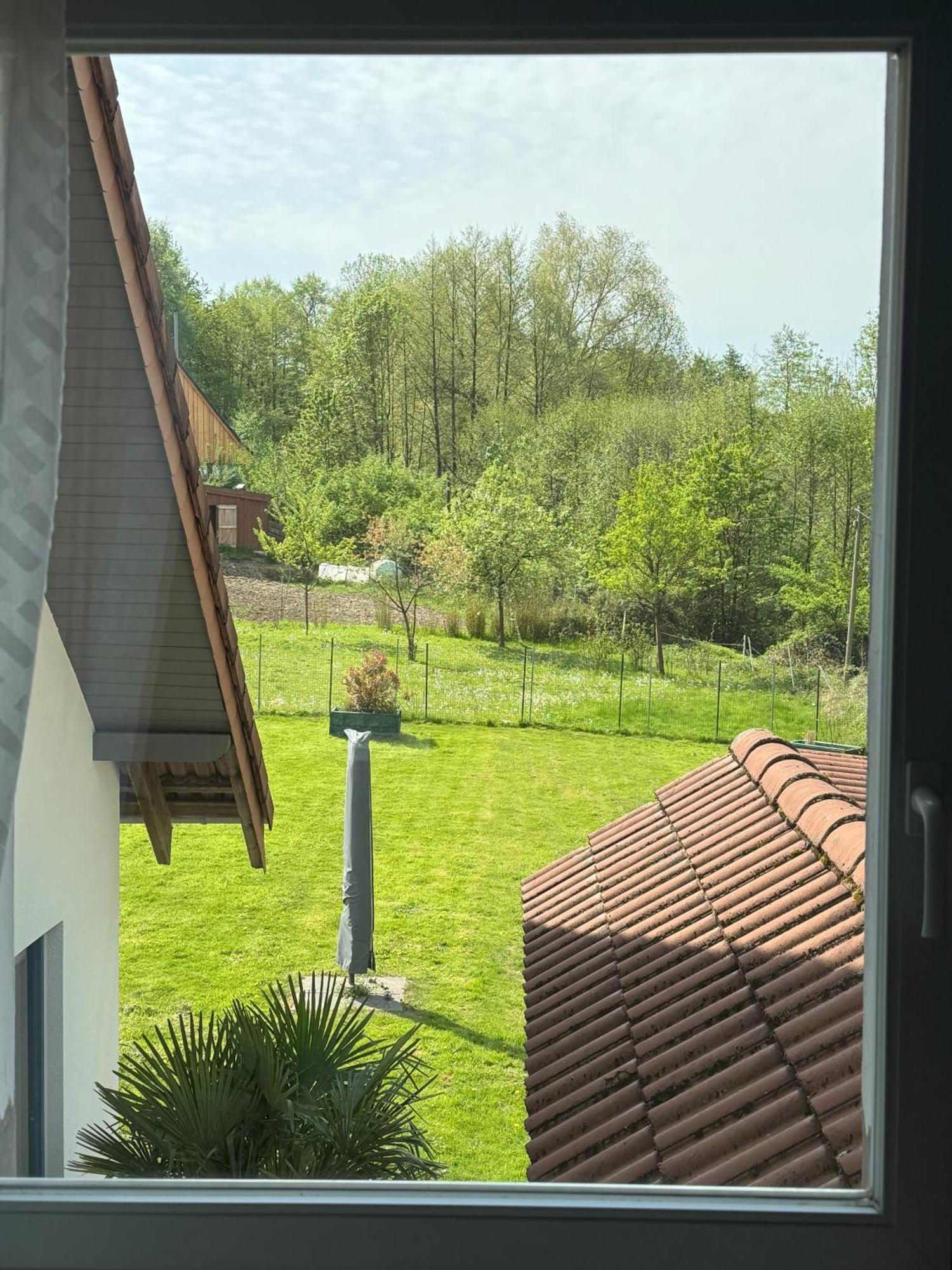 Urlaub Im Naturschutzgebiet 代特莫尔德 外观 照片