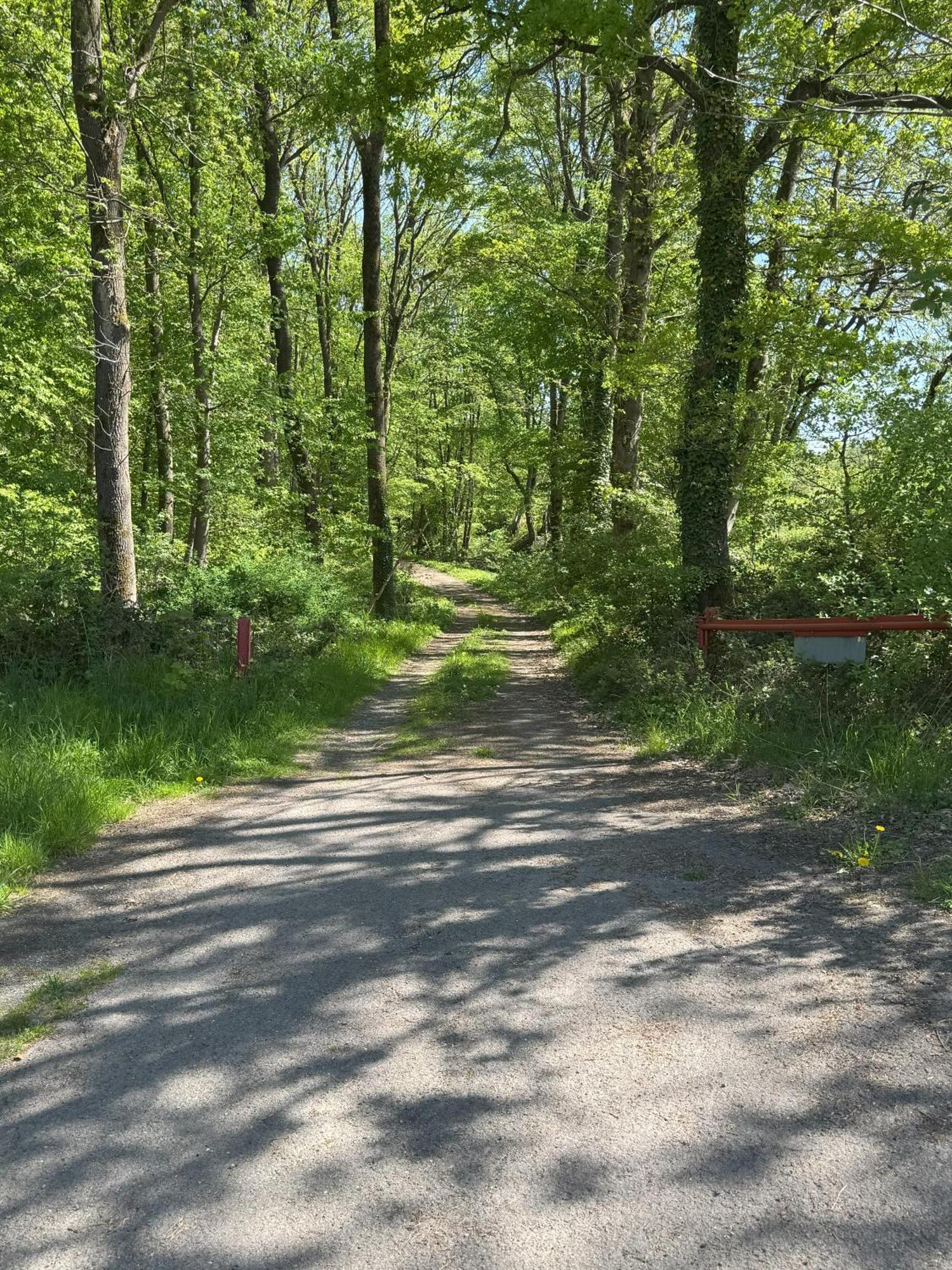 Urlaub Im Naturschutzgebiet 代特莫尔德 外观 照片